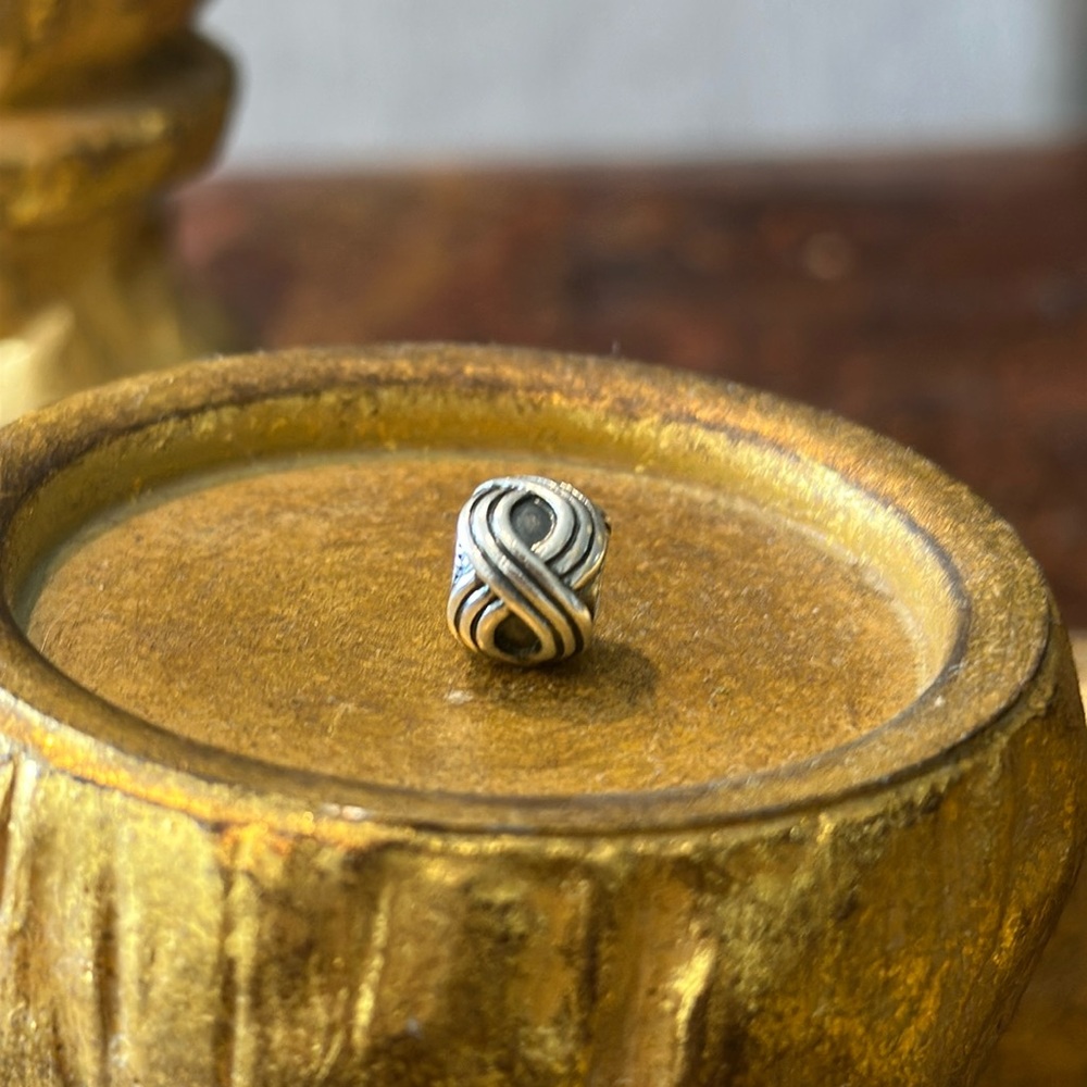 Pandora Changing Seasons Charm 790581 Silver Retired